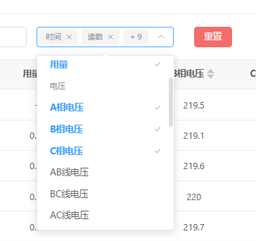 自定义显示字段